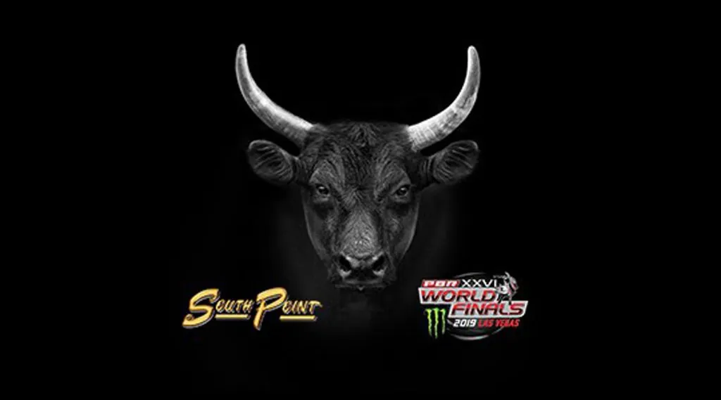 Professional Bull Riders World Championship Professional Bull Riding