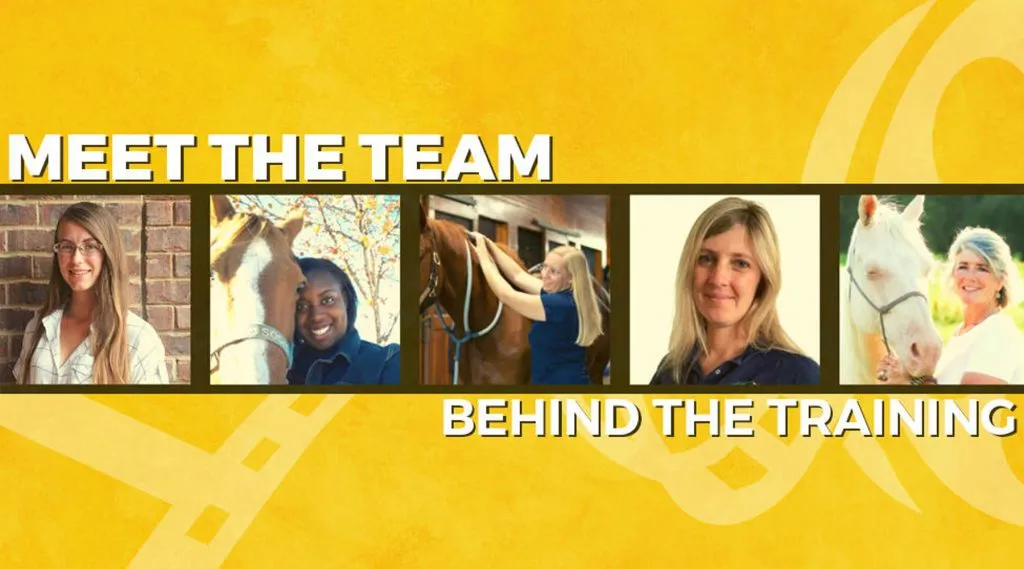 Pulse Equine Advisory Board: Meet the Team Behind Pulse Virtual Training natural recovery