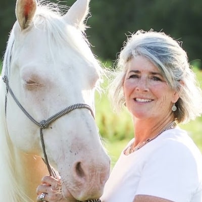 Pulse Equine Advisory Board: Meet the Team Behind Pulse Virtual Training Pulse Equine Advisory Board