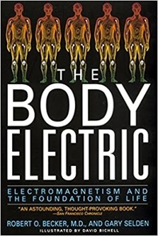 The Body Electric bodyelectric