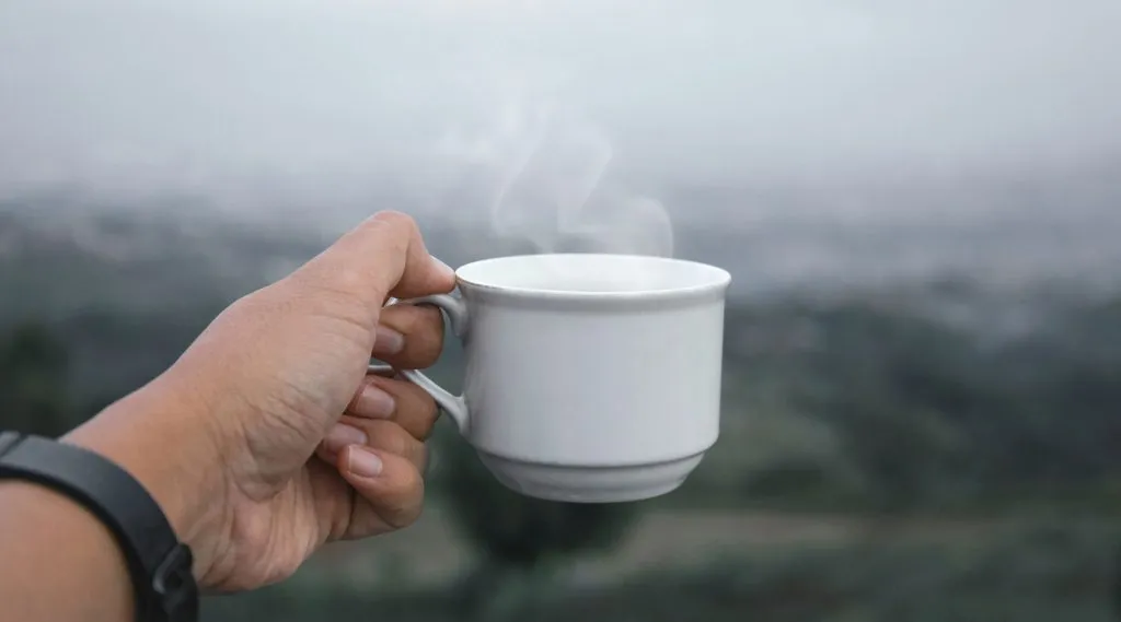 Two Delicious Winter Drinks That Beat The Cold and Boost Immune Function! PEMF Therapy