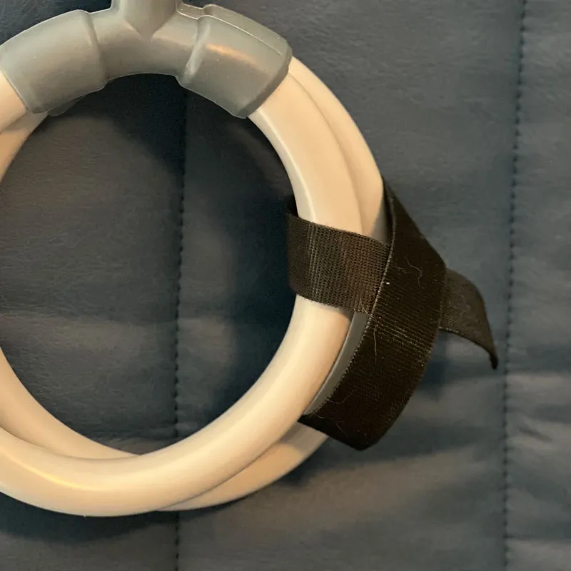 Hind Leg Conformation: How it Affects Performance and How to Pulse for It Hind leg conformation