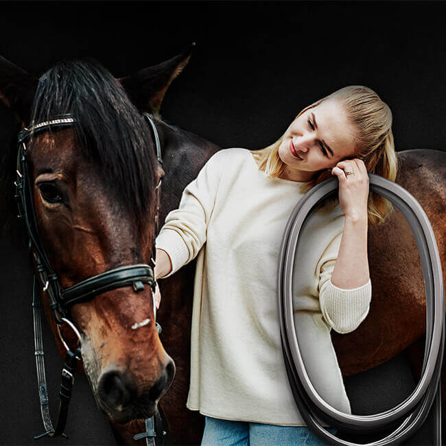 Pulse EQ-XX An image of a horse with Pulse PEMF Accessory EQ XX