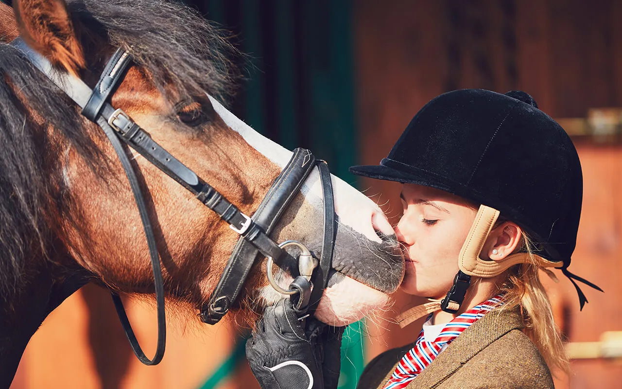 Types of Equine Colic & Why Pulsing is Contraindicated Equine Colic