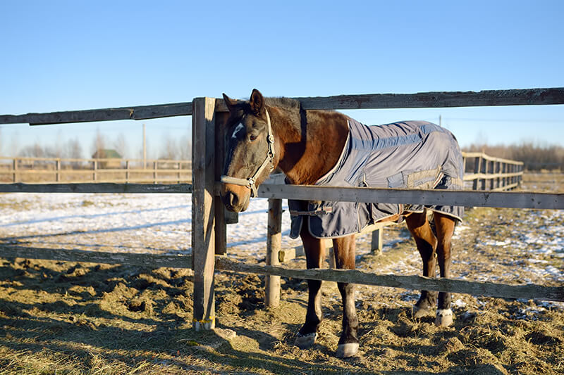 Blanket Guide: Pulsing & Blanket Best Practices Blankets