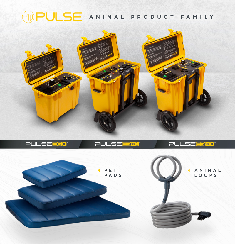PEMF Origins and Usage Throughout History Image of Pulse PEMF machines and accessories for animals