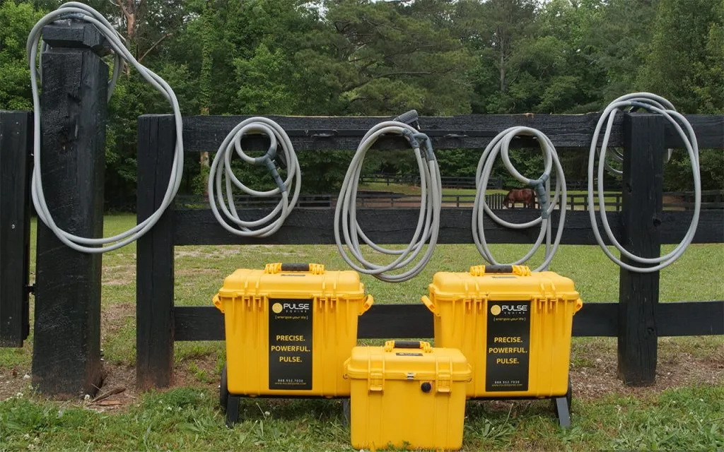 Choosing The Best Pulse PEMF Accessory For Pets pemf accessories