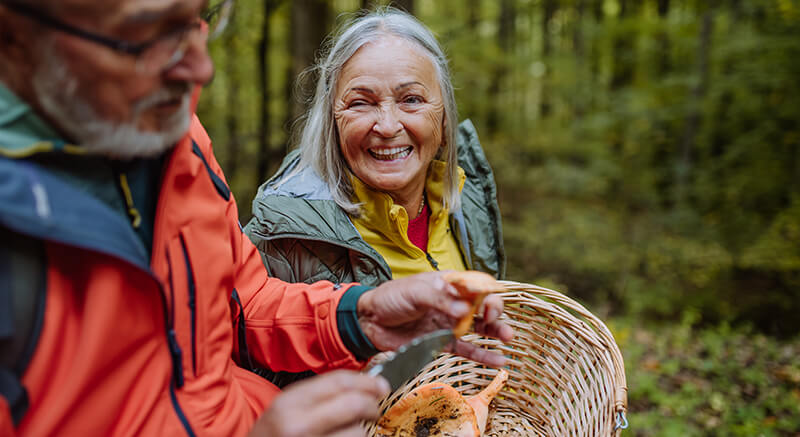 Medicinal Mushrooms: Just Another Wellness Fad? Mushrooms