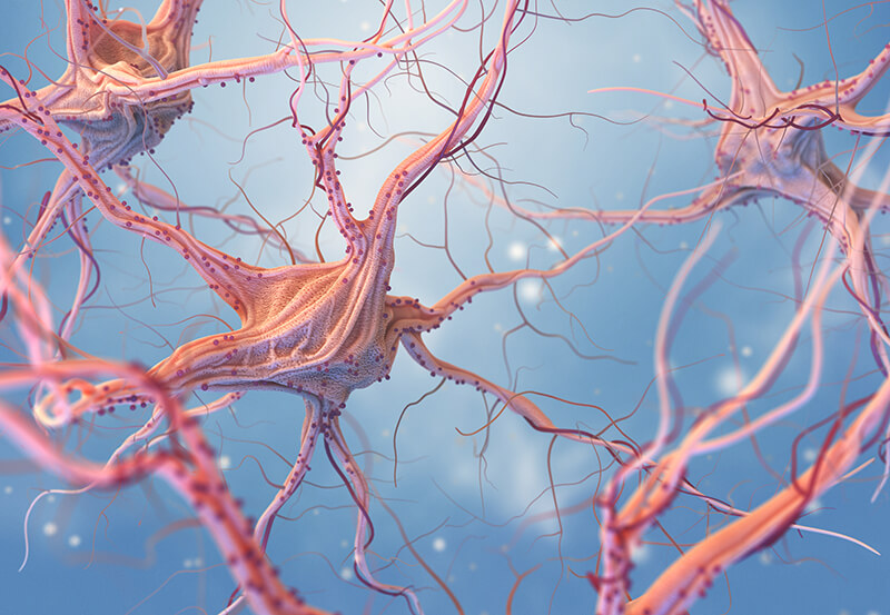 Restoring Balance with Craniosacral Therapy Craniosacral therapy