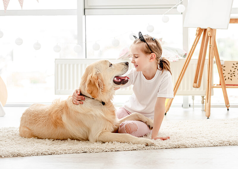 How Pets Impact Your Health PEMF for pets