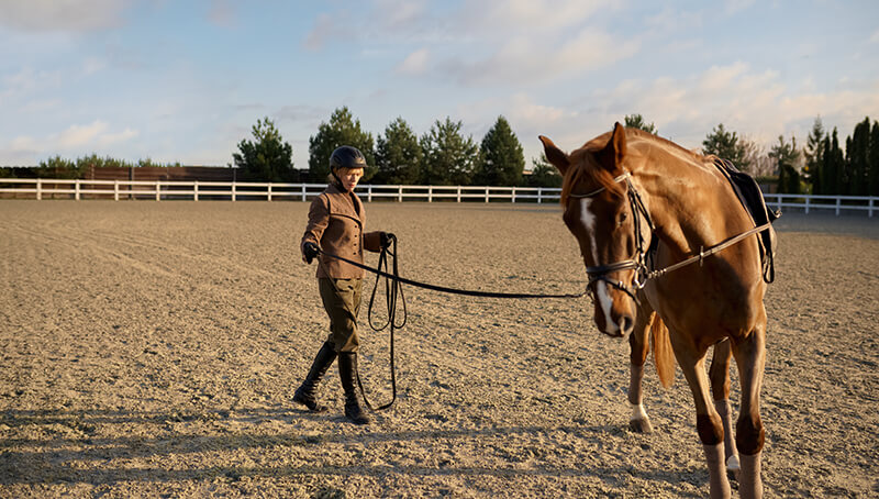 Continuing Your Education: Building Your Animal Expertise Equestrian guiding horse in arena.