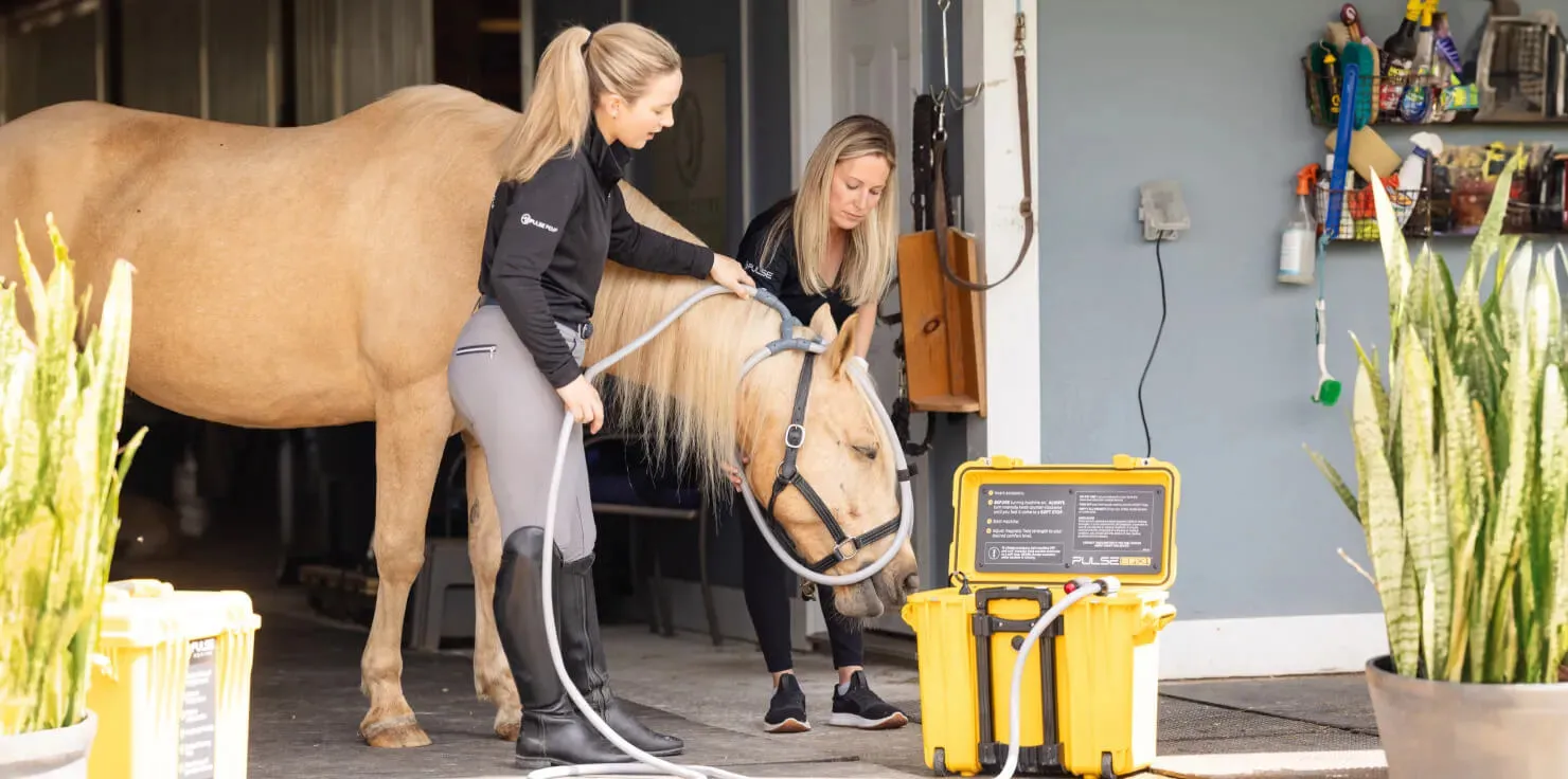 Exploring The Right PEMF Device For Equine Use Ease of use and application methods