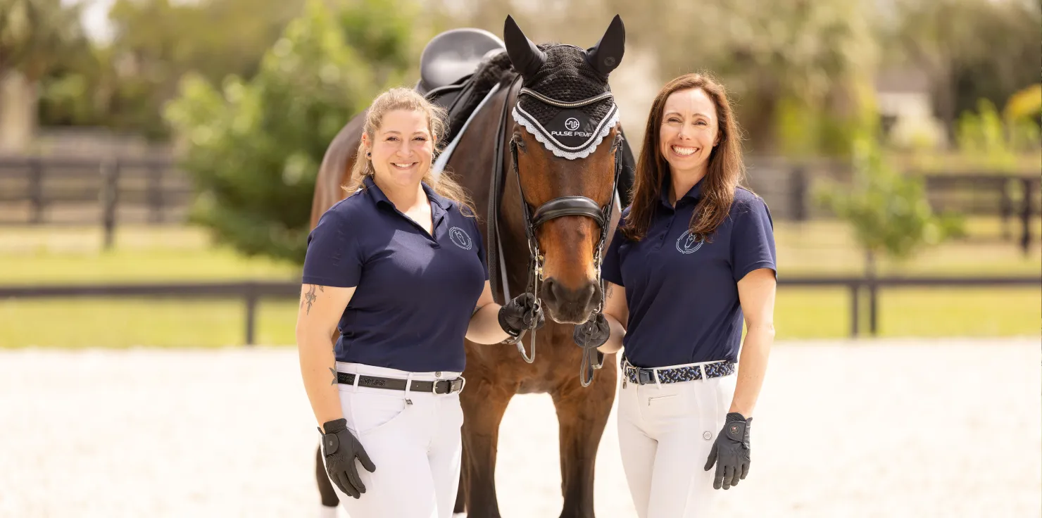 Exploring The Right PEMF Device For Equine Use Expert Opinion and Research Findings