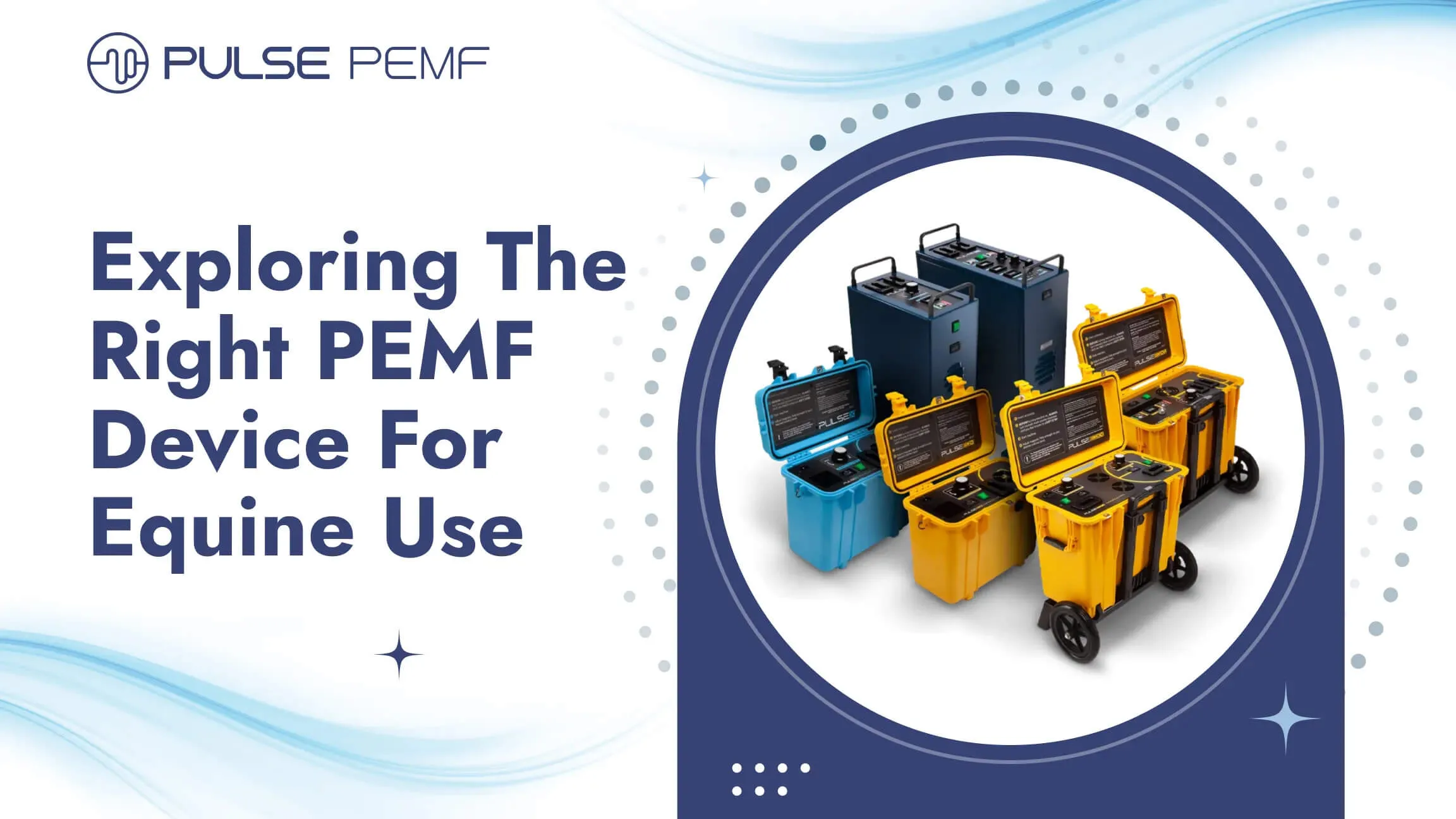 Exploring The Right PEMF Device For Equine Use PEMF Device for Equine