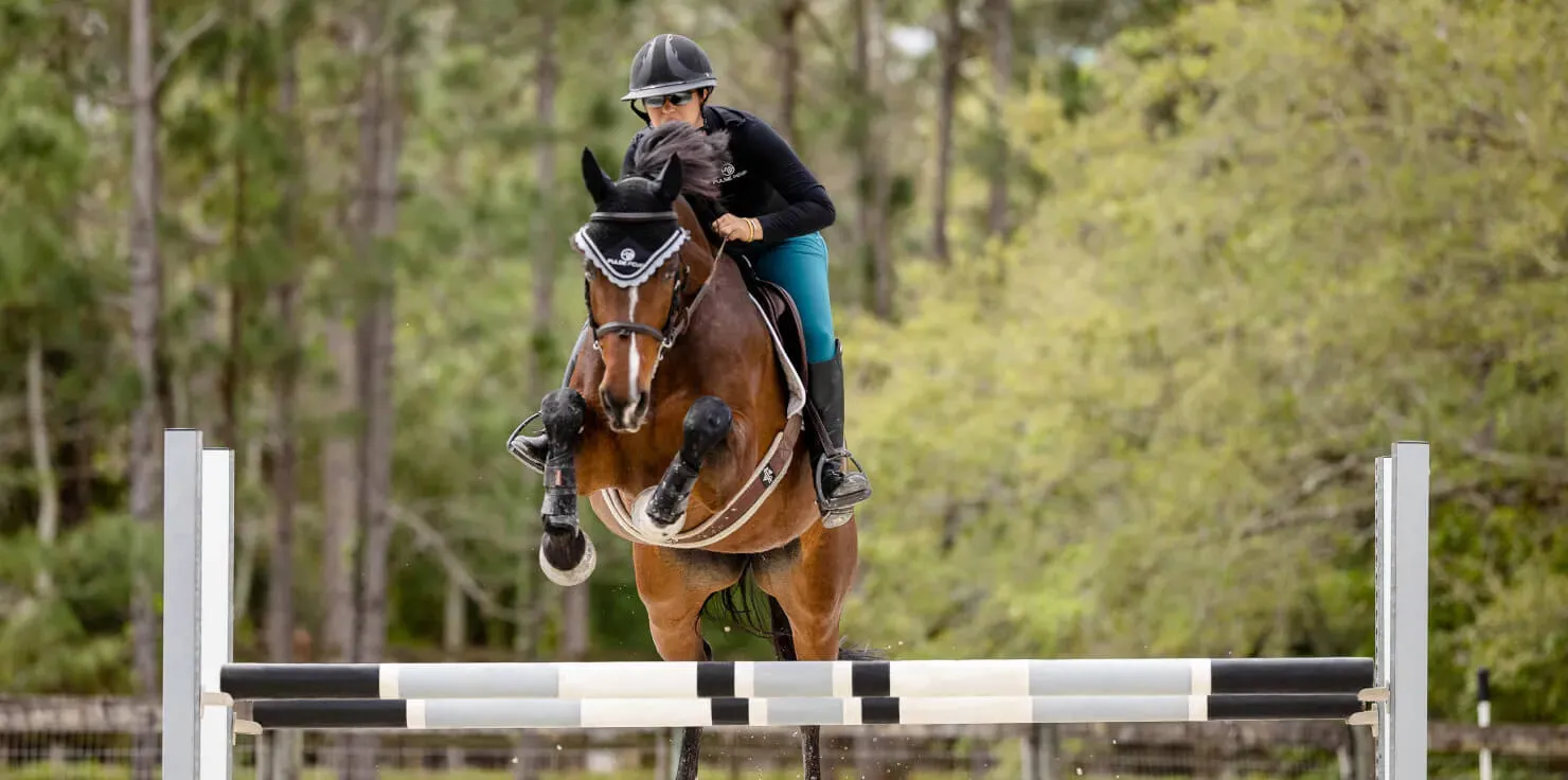 PEMF Therapy For Horses: New Equine Wellness Trend How is PEMF Administered to Horses