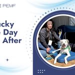 Home PEMF Units: Advantages of Having a PEMF Machine for Personal Use Kentucky Three-Day Event After Glow