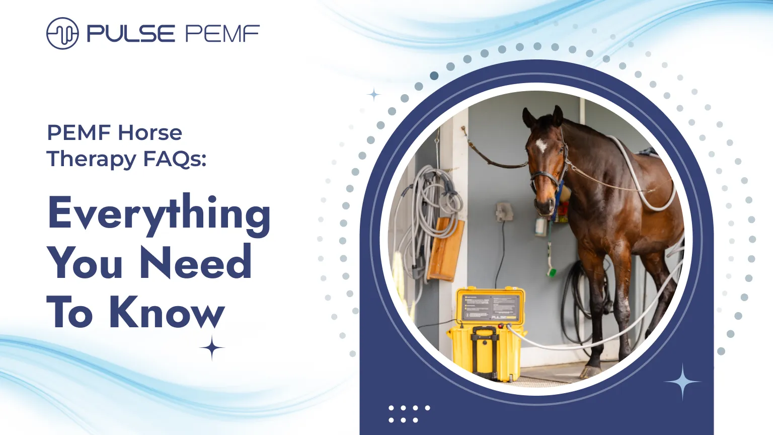 PEMF Horse Therapy FAQs: Everything You Need To Know PEMF Horse Therapy