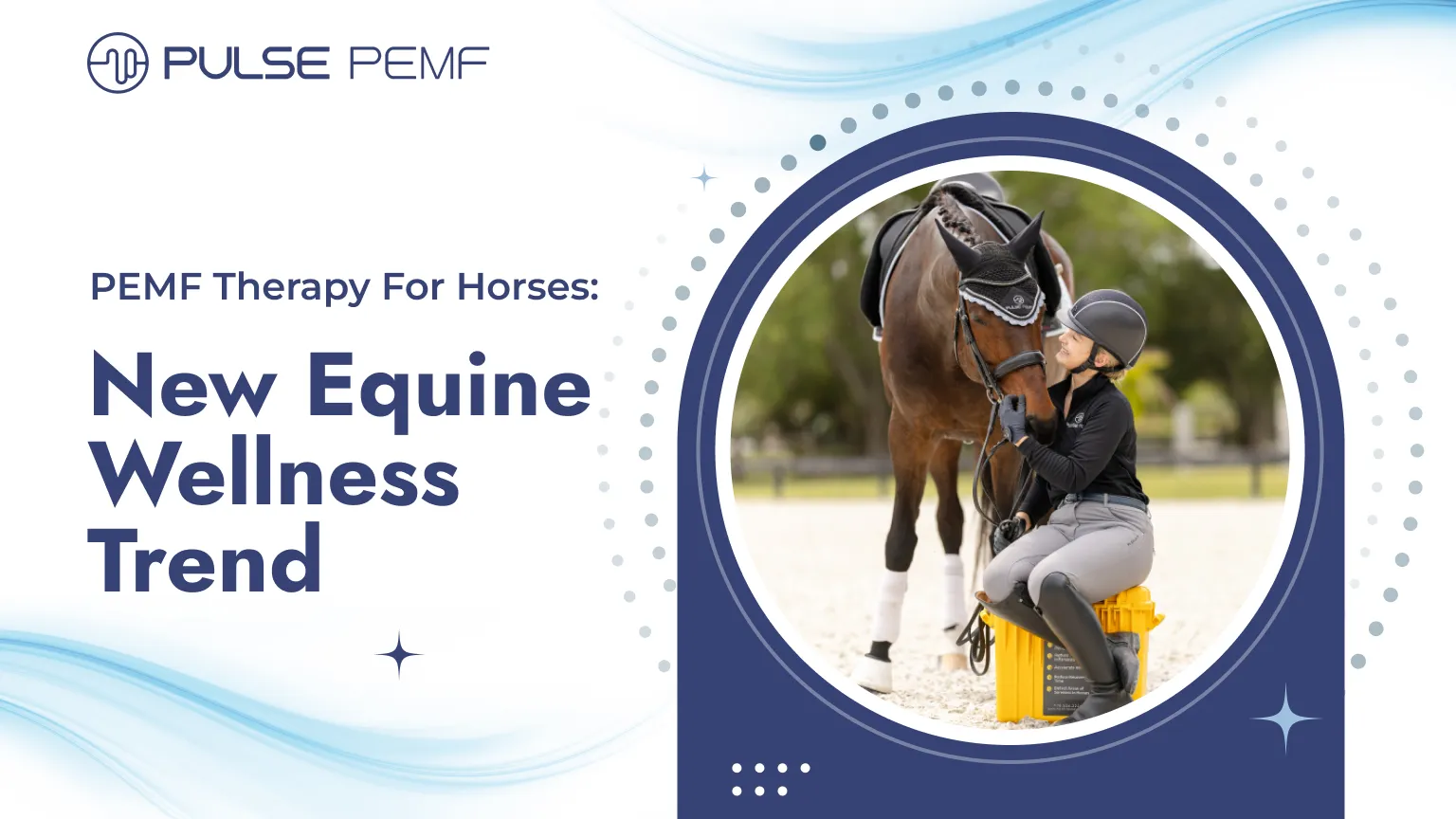 PEMF Therapy For Horses: New Equine Wellness Trend PEMF therapy for horses