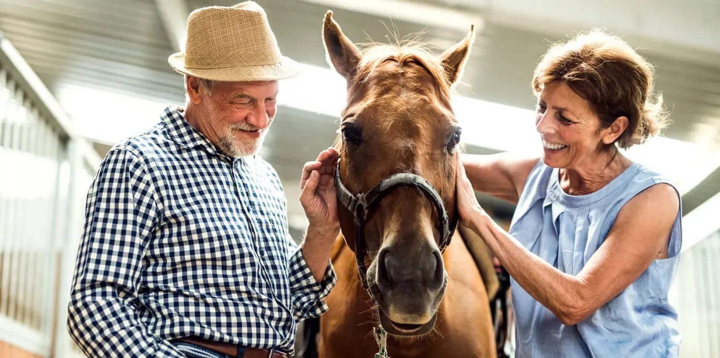 PEMF Horse Therapy FAQs: Everything You Need To Know Success Stories with PEMF Horse Therapy