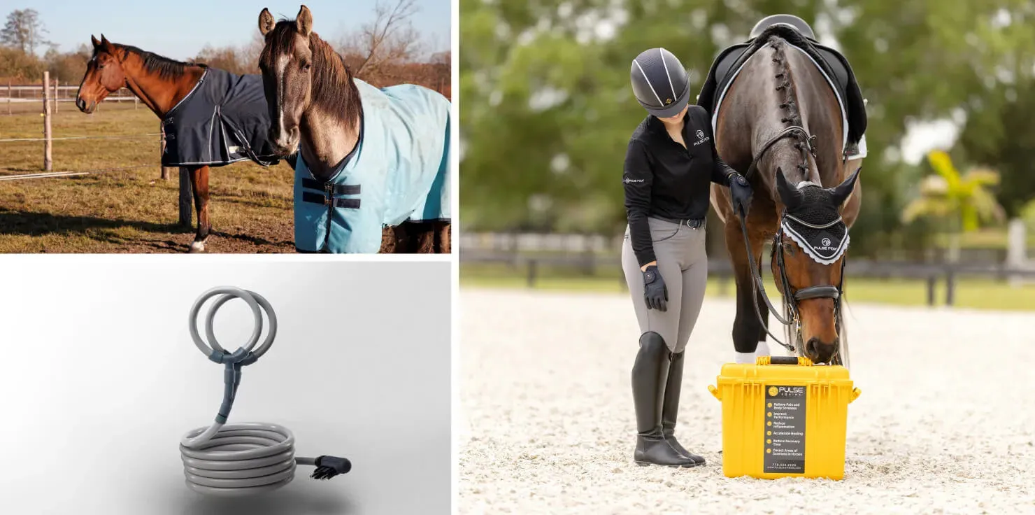 PEMF Horse Therapy FAQs: Everything You Need To Know What are the different types of PEMF applicators for horses?