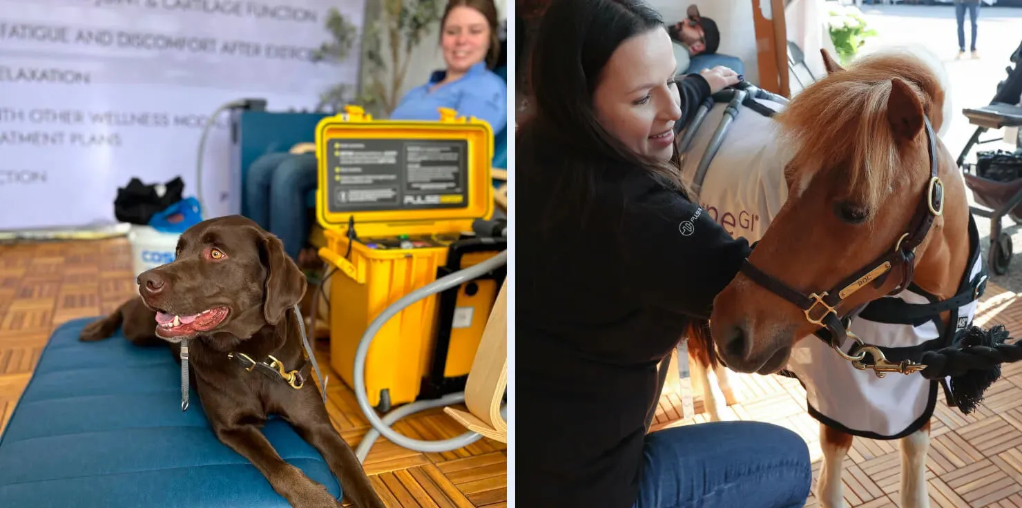 Kentucky Three-Day Event After Glow Kentucky Three-Day Event After Glow