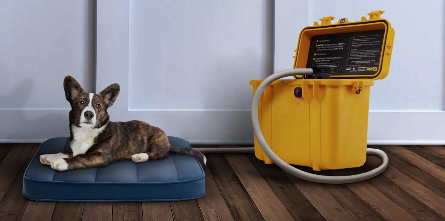 PEMF Therapy for Animals Ease of use