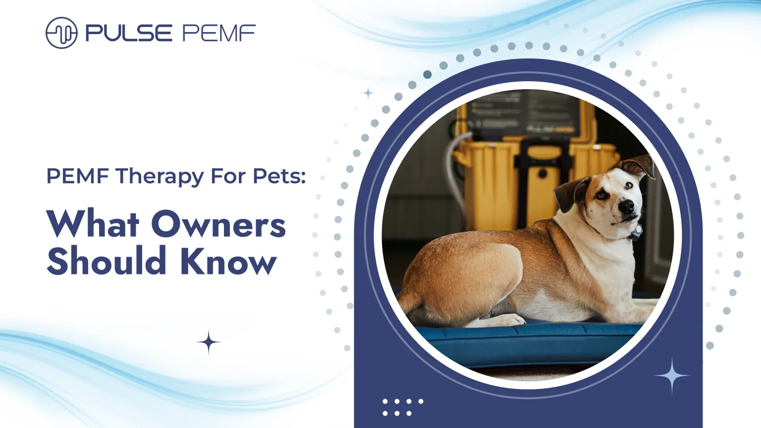 PEMF Therapy For Pets: What Owners Should Know PEMF Therapy For Pets What Owners Should Know