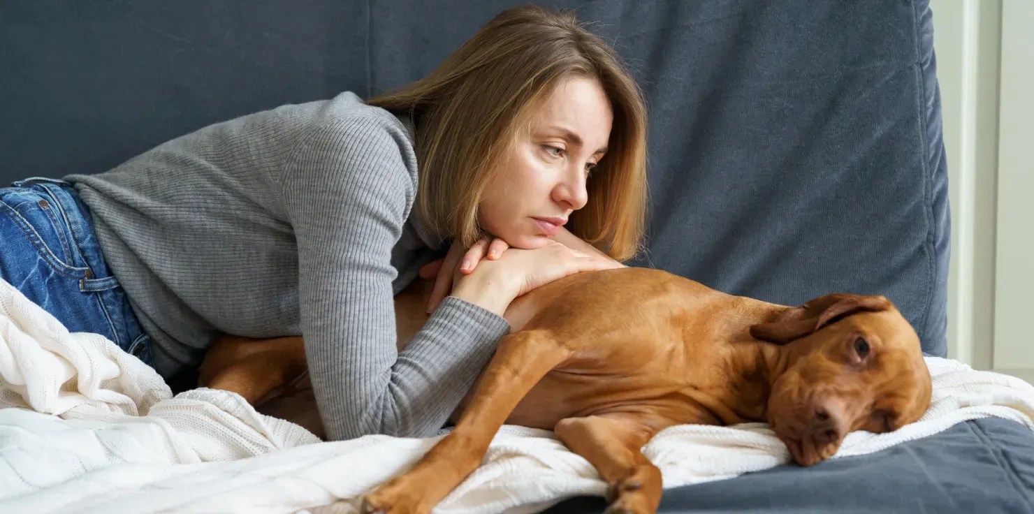 PEMF therapy for Pets Impact Of Arthritis, Hip Dysplasia, And Other Joint Conditions