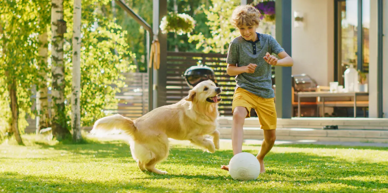 PEMF Therapy Increased Natural Energy