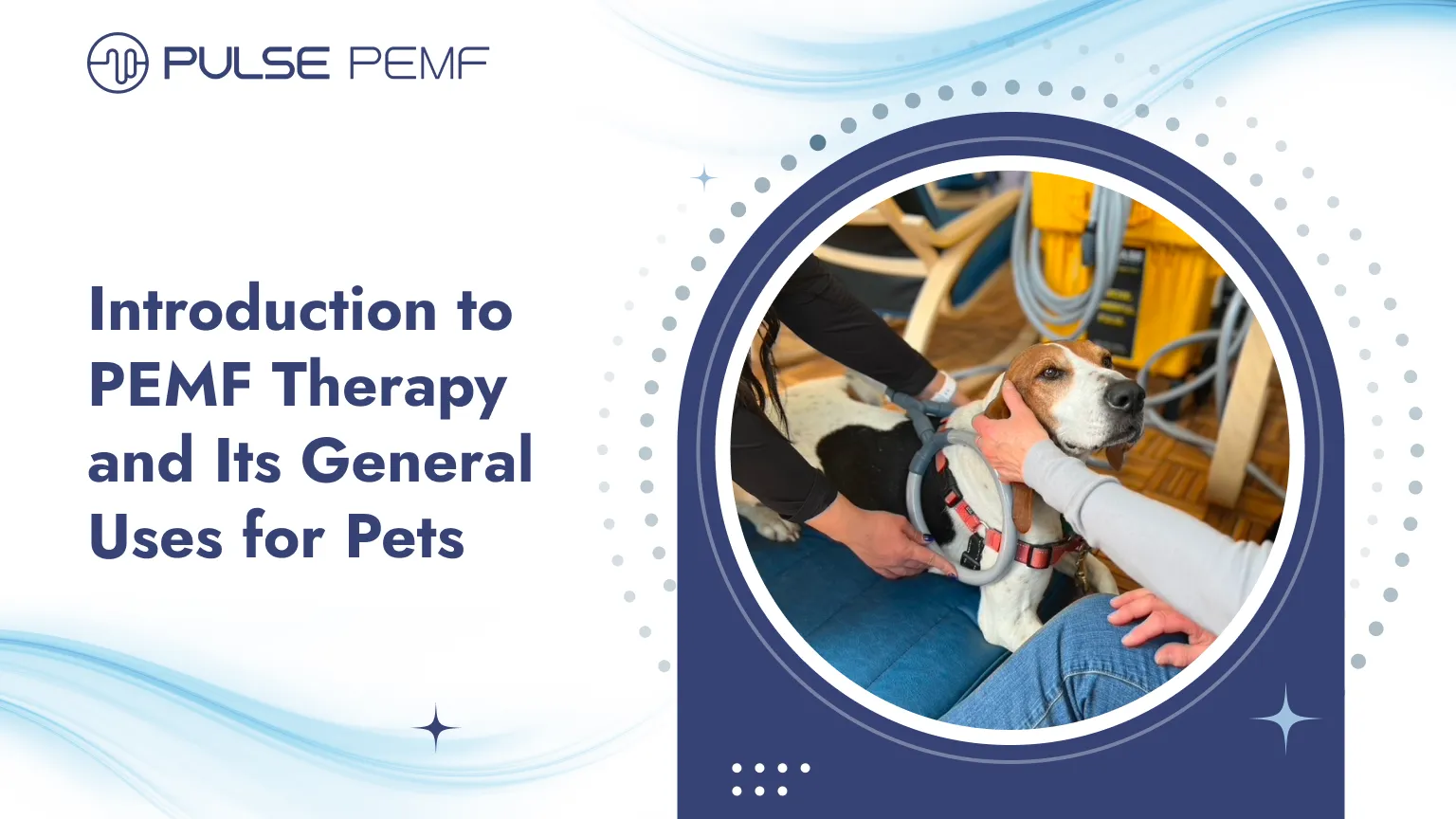 Introduction to PEMF Therapy and Its General Uses for Pets Introduction to PEMF Therapy and Its General Uses for Pets