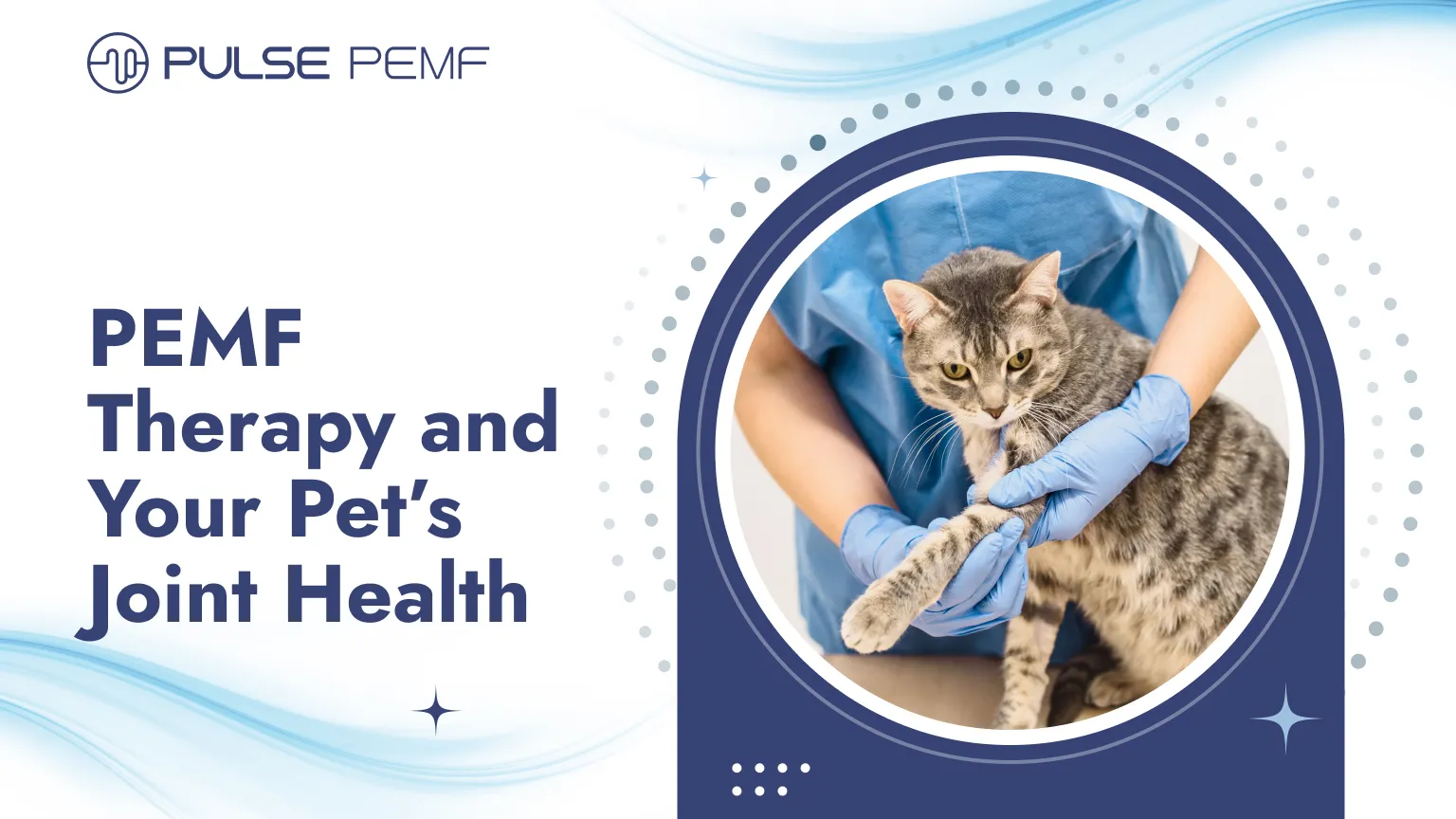 PEMF Therapy And Your Pet’s Joint Health PEMF Therapy and Your Pet’s Joint Health