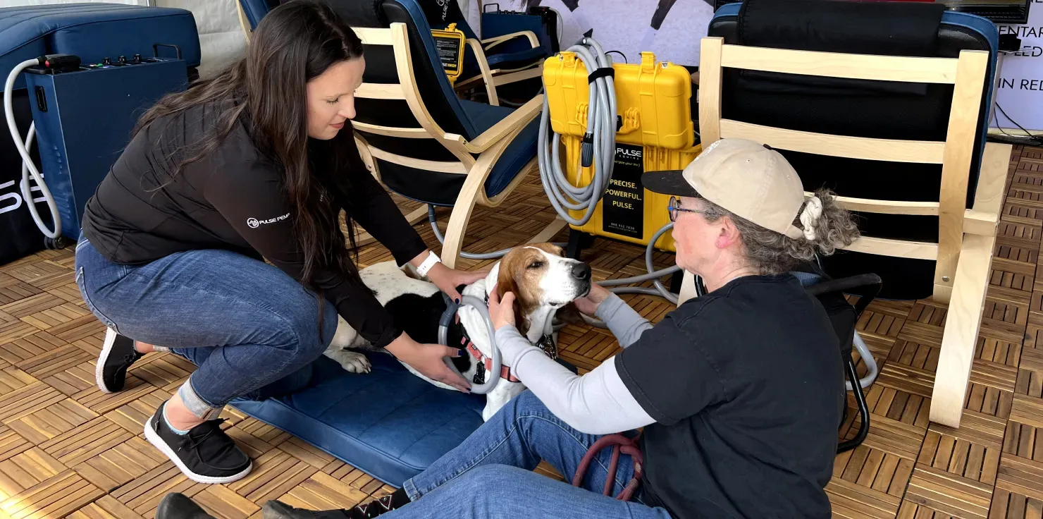 Types of PEMF Devices to Consider for Your Pet Portable PEMF Devices