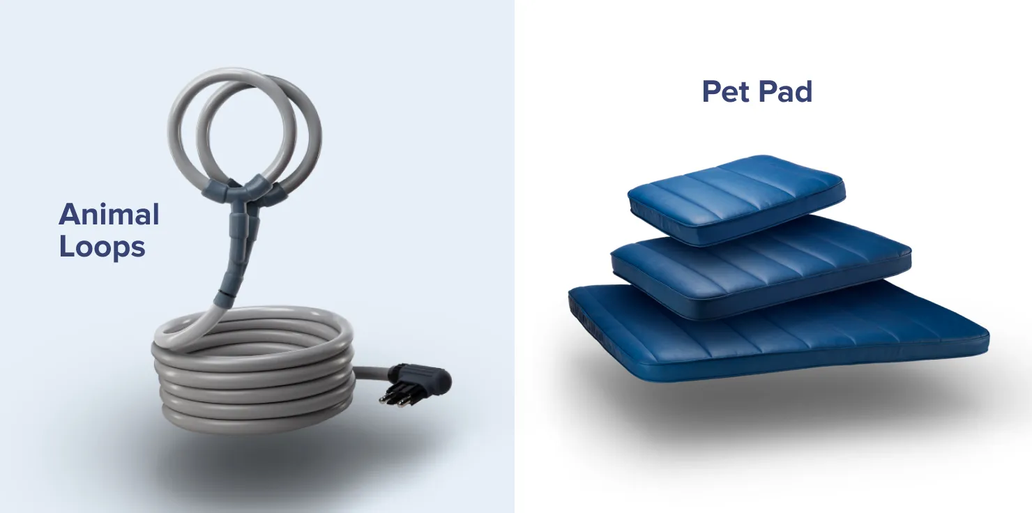 Types of PEMF Devices to Consider for Your Pet Pulse PEMF Accessories For Animals
