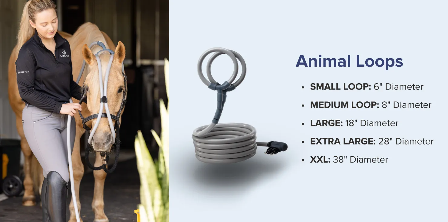 Pulse PEMF Loop Introducing the Pulse PEMF Loop Advantage