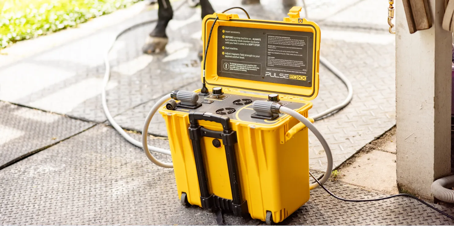 How To Use A PEMF Loop For Horses: A Step-by-Step Guide Adjusting the Settings on Your Machine
