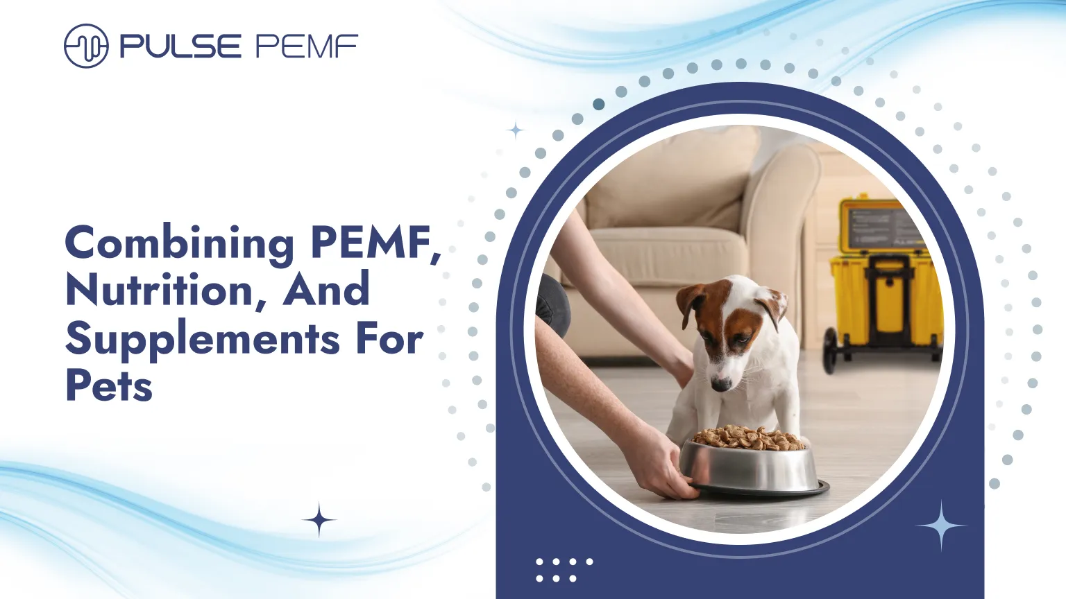 Combining PEMF, Nutrition, And Supplements For Pets Combining PEMF, Nutrition, And Supplements For Pets