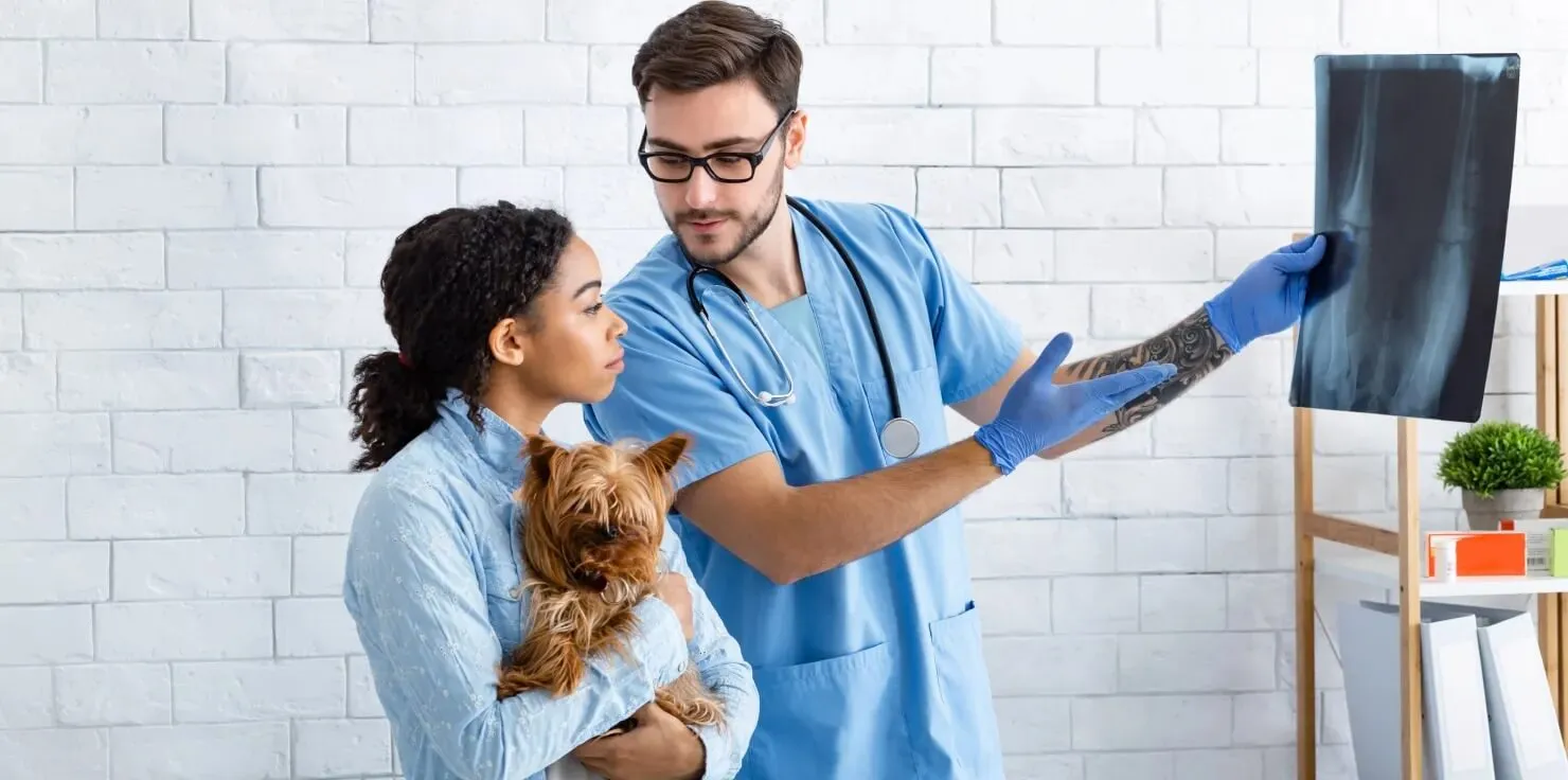 What is PEMF Diagnostic Tools