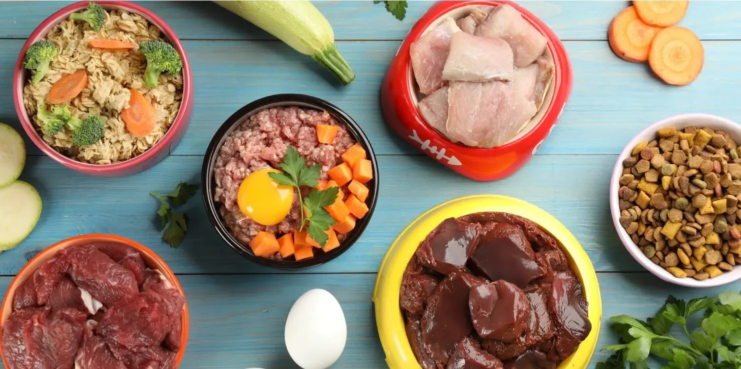 Combining PEMF, Nutrition, And Supplements For Pets Dietary Plans