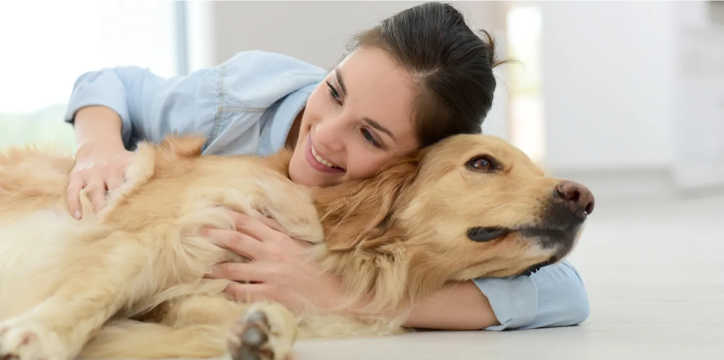 Supporting Your Senior Pet's Wellbeing: Beyond PEMF Emotional Wellbeing and Companionship