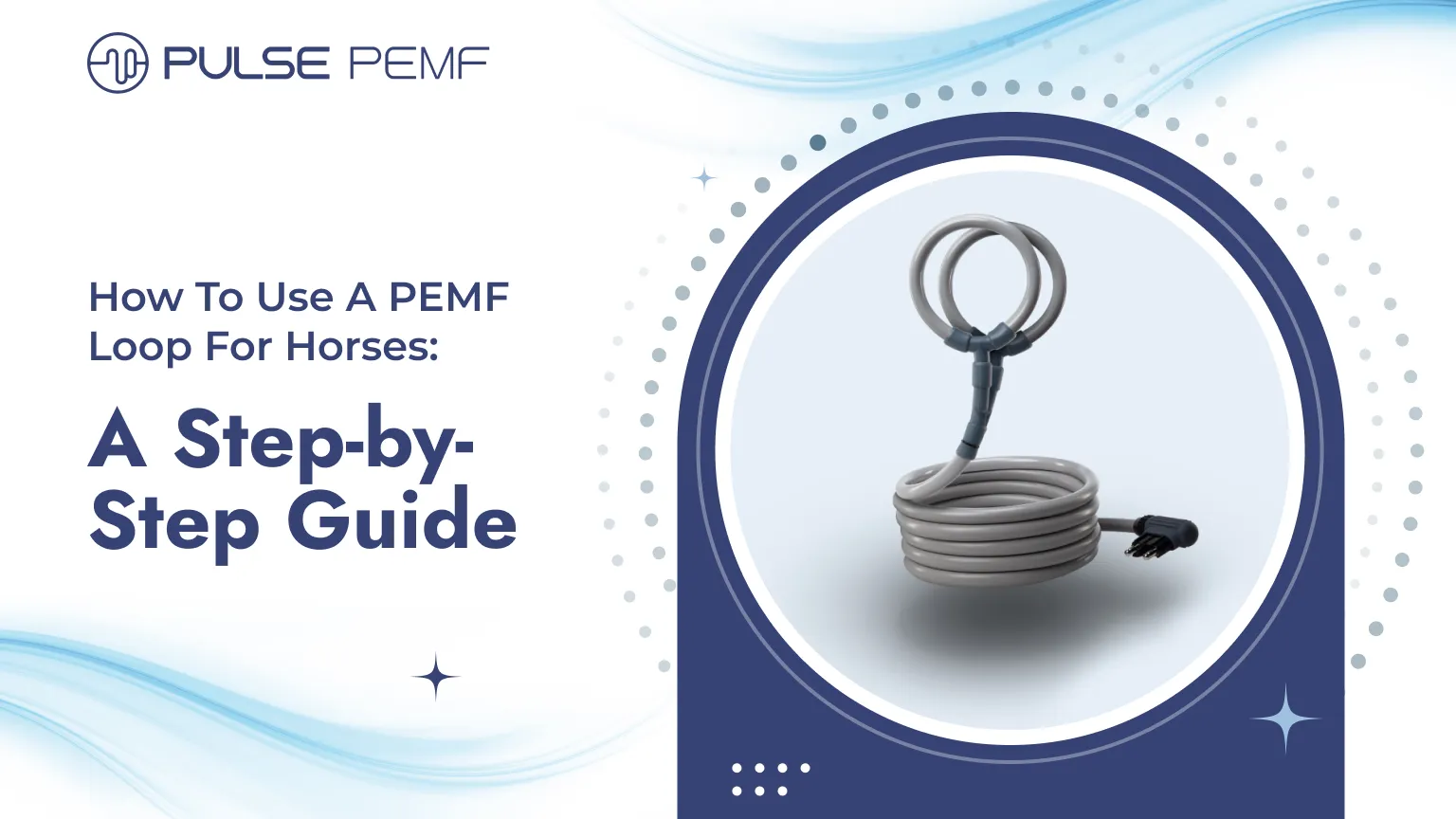 How To Use A PEMF Loop For Horses: A Step-by-Step Guide How To Use A PEMF Loop For Horses_ A Step-by-Step Guide