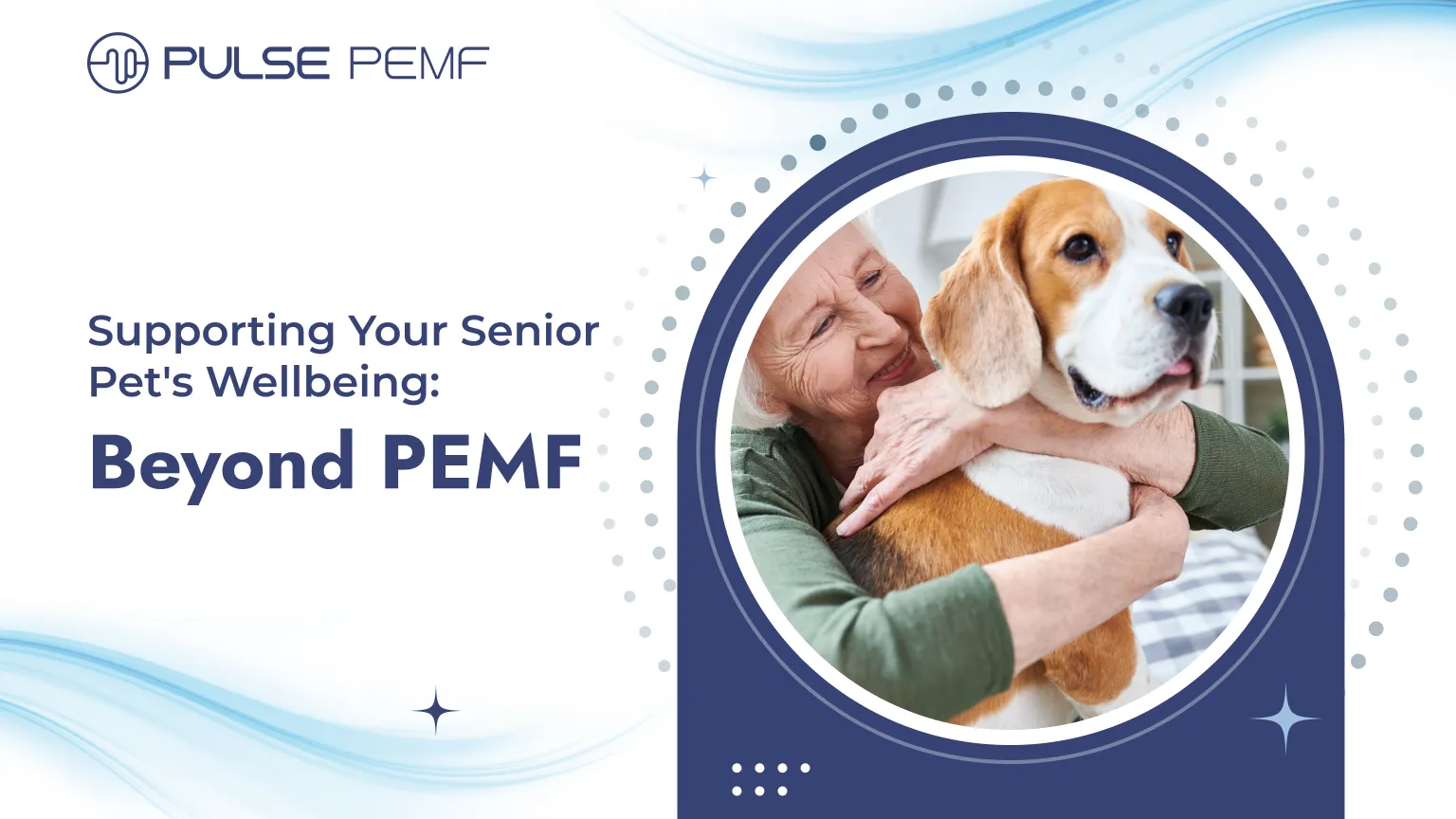 Supporting Your Senior Pet's Wellbeing: Beyond PEMF Senior pet care
