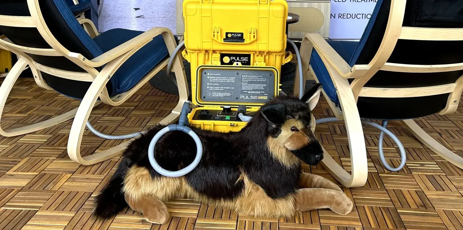 What is PEMF The Advantages of Integrating PEMF