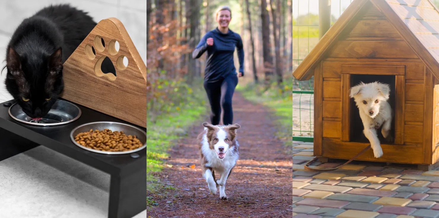 Essential Tips for Animal Owners This Climate Change Adapting Animal Care Routines