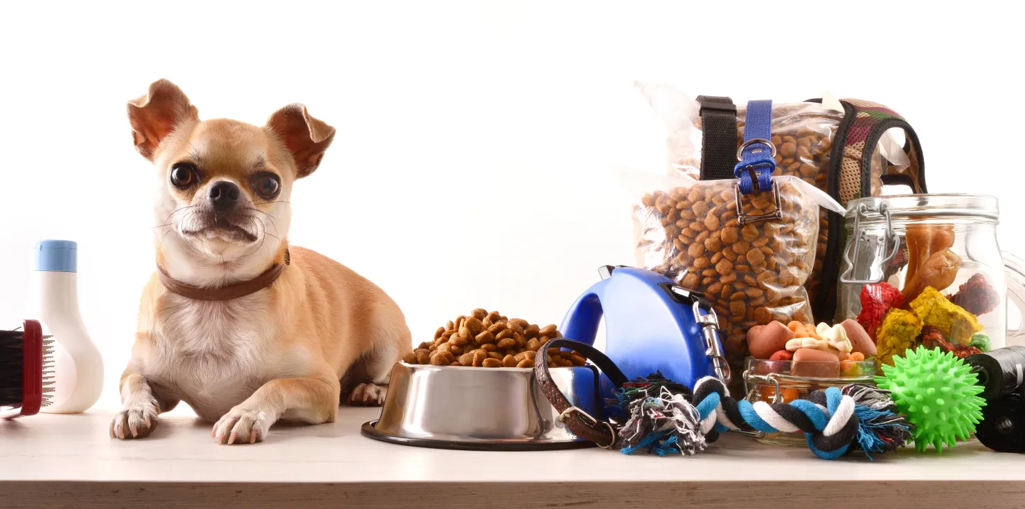 Essential Tips for Animal Owners This Climate Change Creating a Disaster Preparedness Plan