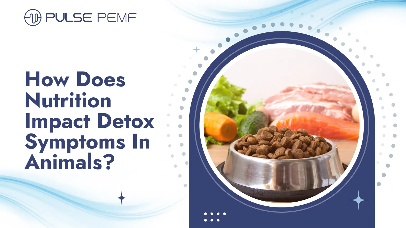 How Does Nutrition Impact Detox Symptoms In Animals? How Does Nutrition Impact Detox Symptoms In Animals