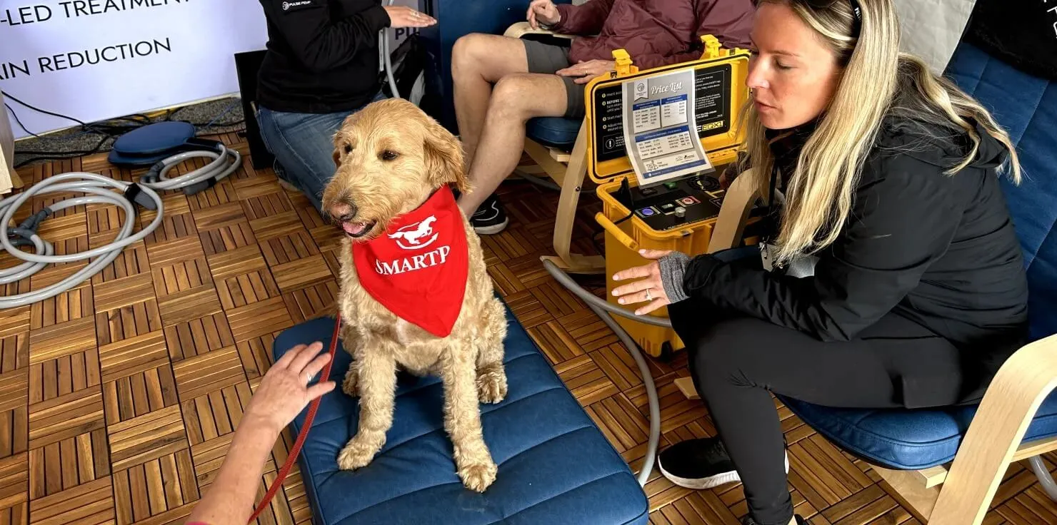 How Does Nutrition Impact Detox Symptoms In Animals? How PEMF Therapy Supports Detox