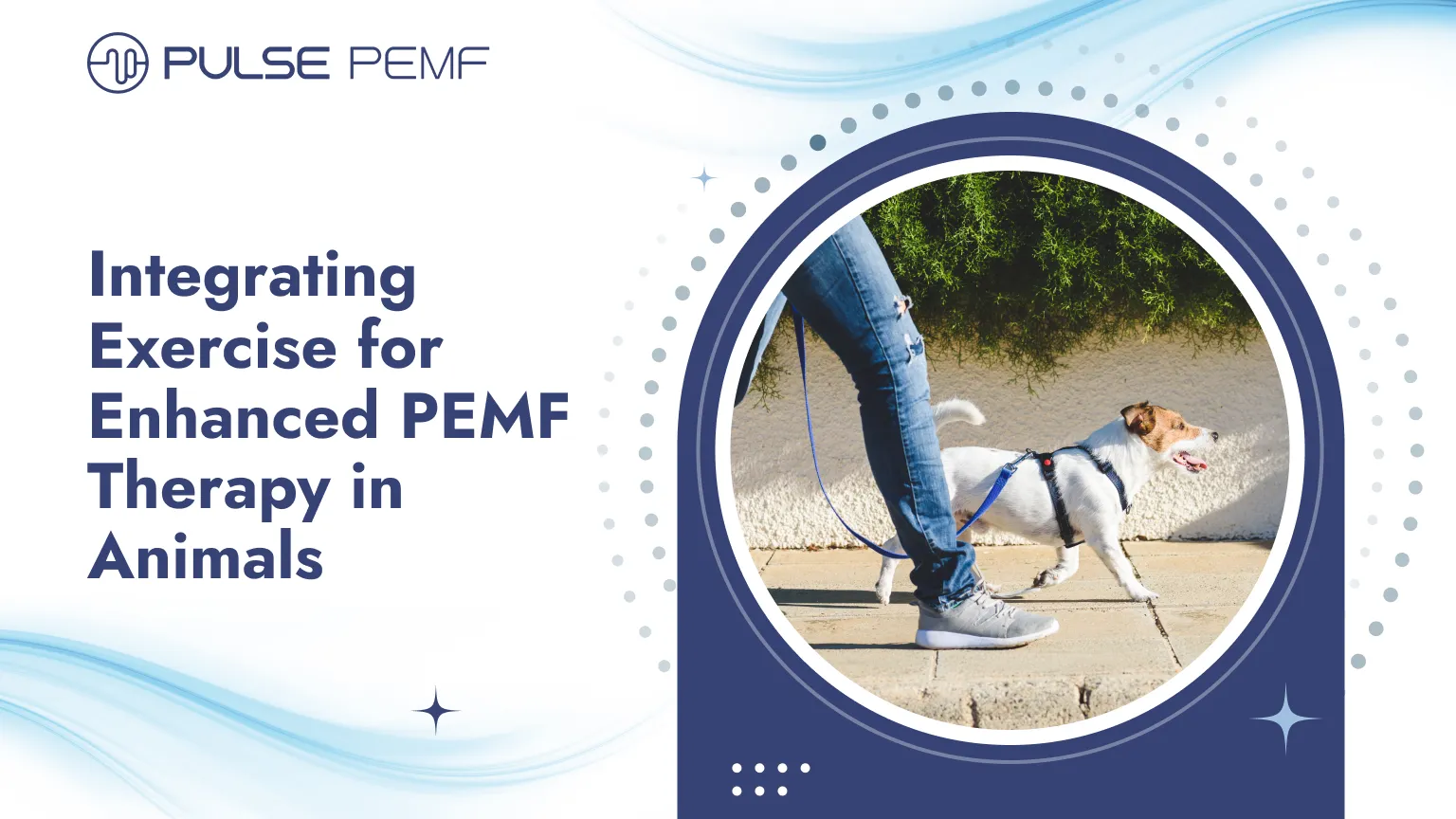 Integrating Exercise for Enhanced PEMF Therapy in Animals Integrating Exercise for Enhanced PEMF Therapy in Animals