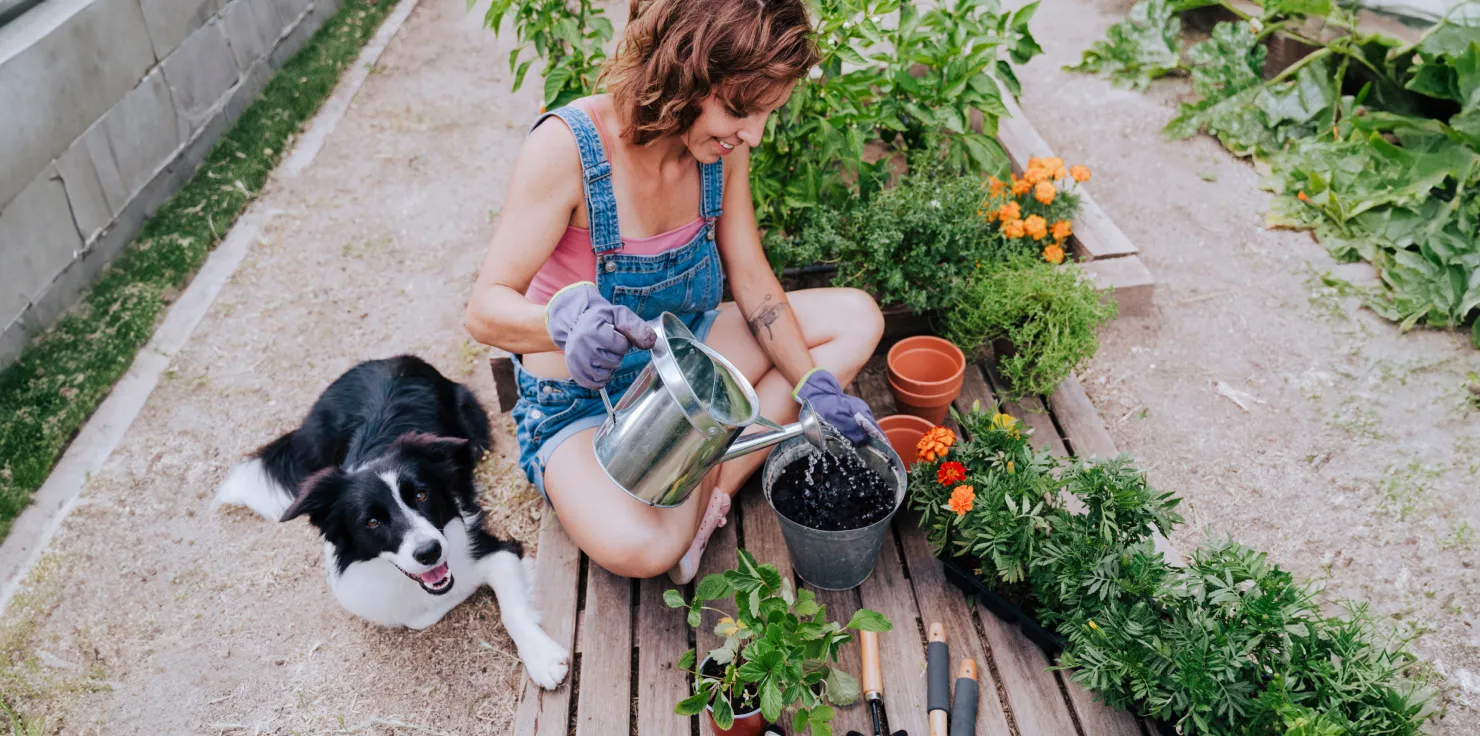 Essential Tips for Animal Owners This Climate Change Long-Term Strategies for Animal Care