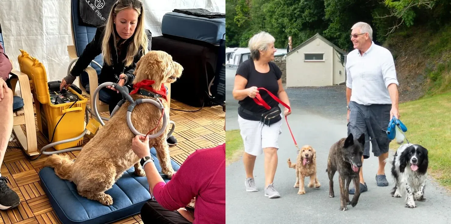 PEMF Therapy PEMF Therapy