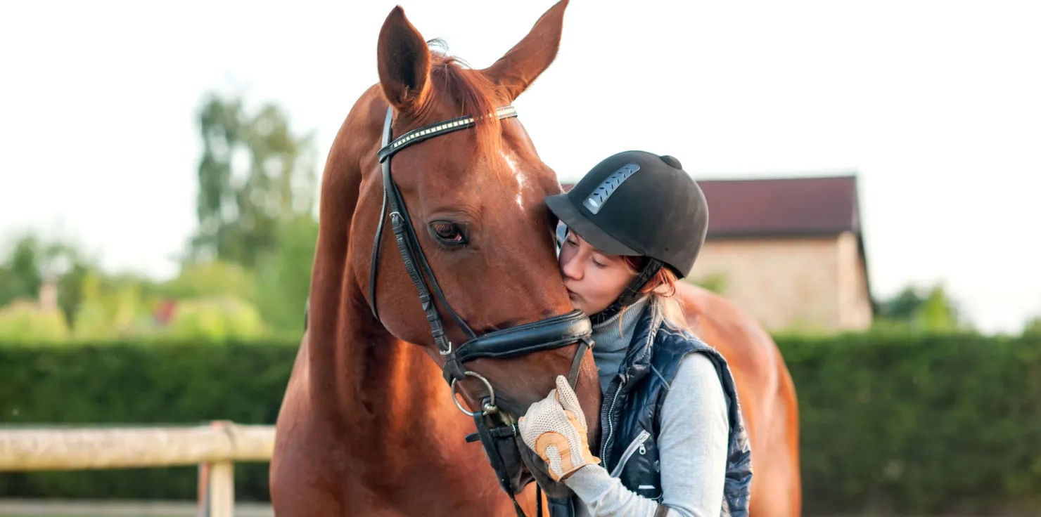 Horses, PEMF, and Your Mental Well-being: A Perfect Combination Building Trust and Connection
